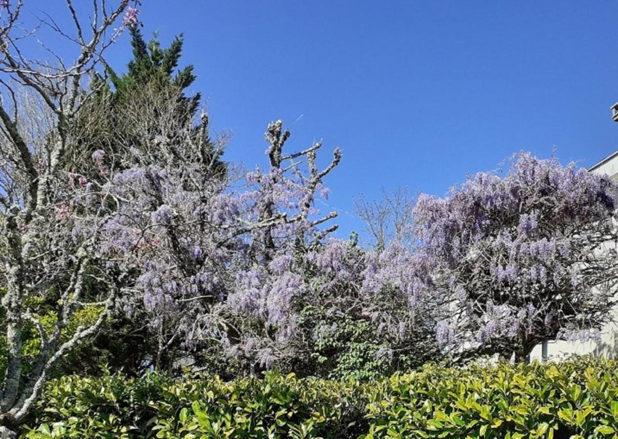 Le Gite Des Couderches Plazac Exterior foto